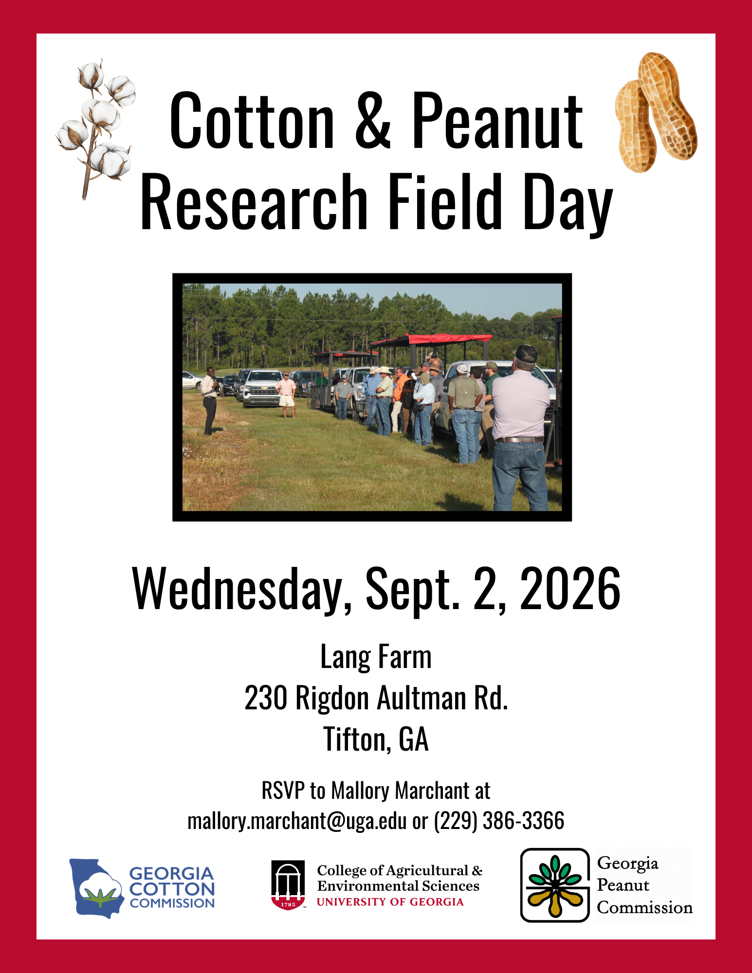 Cotton&Peanut26